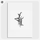 2-14_Ernst-Haeckel_picture