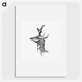 2-14_Ernst-Haeckel_picture