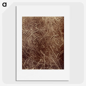 2-14_Eugene-Atget_picture