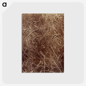 2-14_Eugene-Atget_postcard