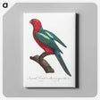 2-14_Francois-Levaillant_canvas