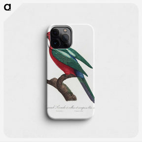 2-14_Francois-Levaillant_phone