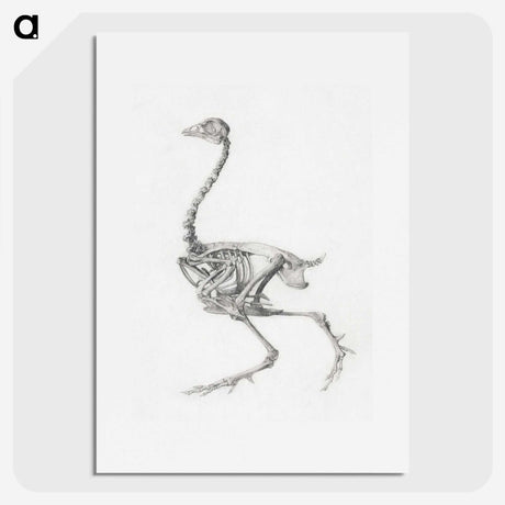 2-14_George-Stubbs_picture