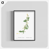 2-14_Histoire-des-Plantes-Grasses_blk-crop