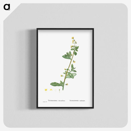 2-14_Histoire-des-Plantes-Grasses_blk-crop