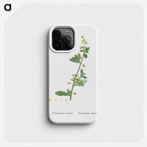 2-14_Histoire-des-Plantes-Grasses_phone