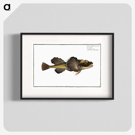 2-14_Ichtyologie-ou-Histoire-naturelle_blk