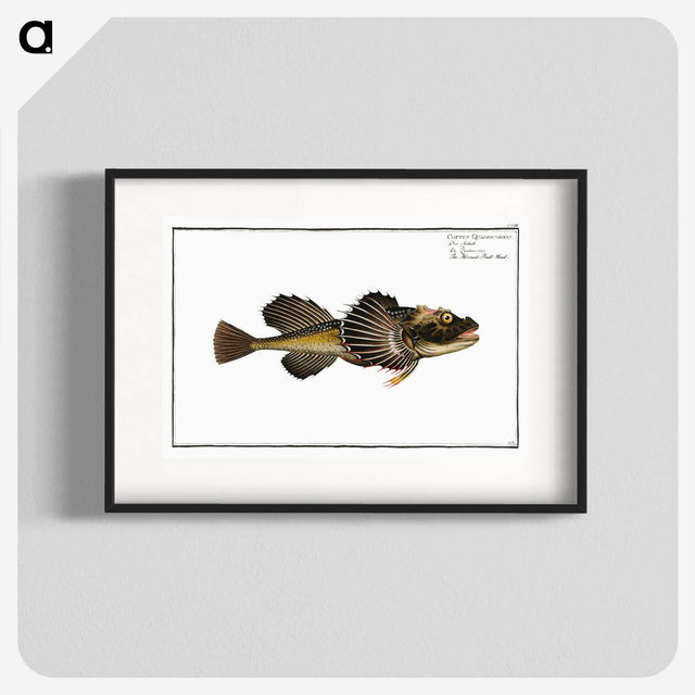 2-14_Ichtyologie-ou-Histoire-naturelle_blk