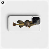 2-14_Ichtyologie-ou-Histoire-naturelle_phone