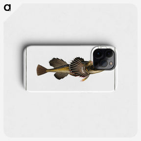 2-14_Ichtyologie-ou-Histoire-naturelle_phone