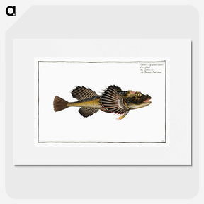 2-14_Ichtyologie-ou-Histoire-naturelle_picture