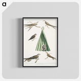2-14_Indian-Zoology_blk-crop