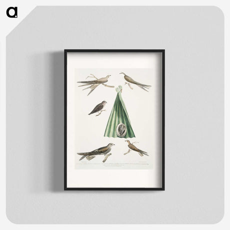 2-14_Indian-Zoology_blk