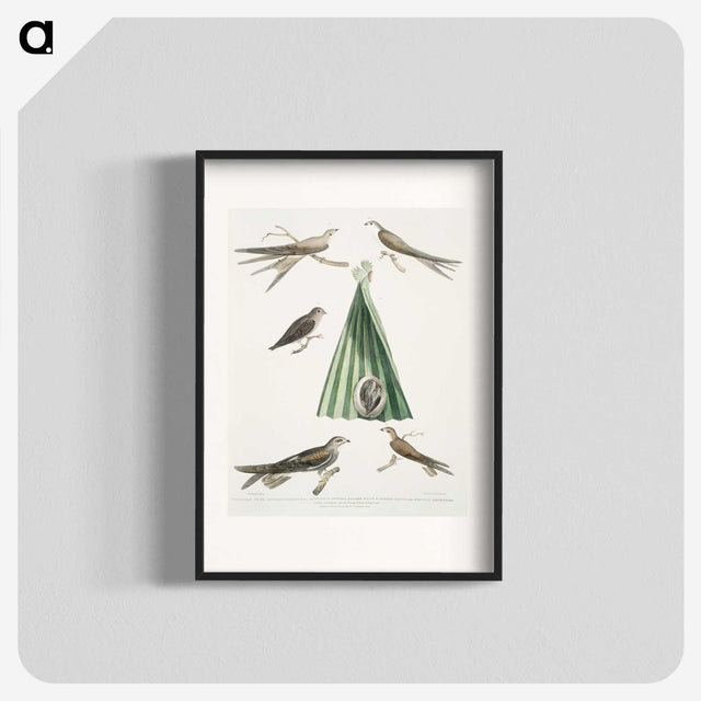 2-14_Indian-Zoology_blk