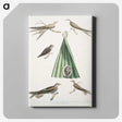 2-14_Indian-Zoology_canvas