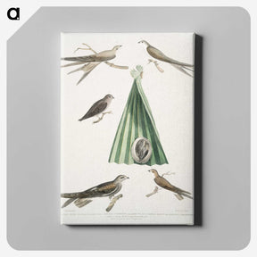 2-14_Indian-Zoology_canvas
