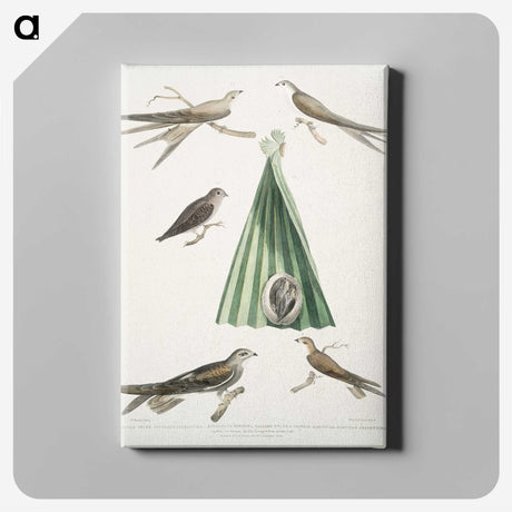 2-14_Indian-Zoology_canvas