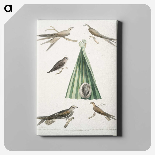 2-14_Indian-Zoology_canvas
