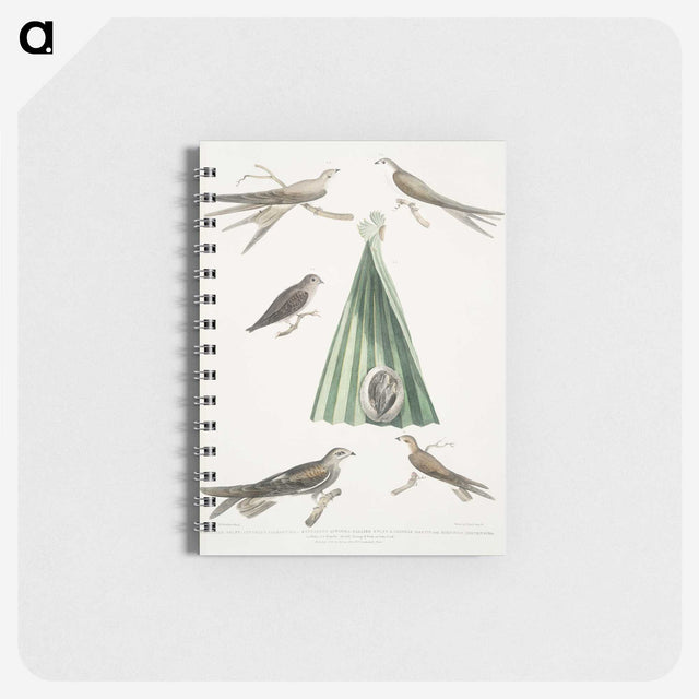 2-14_Indian-Zoology_memo