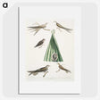 2-14_Indian-Zoology_picture