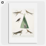 2-14_Indian-Zoology_picture