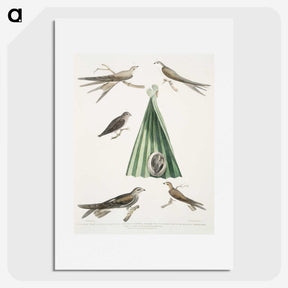 2-14_Indian-Zoology_picture