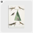 2-14_Indian-Zoology_postcard