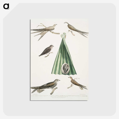 2-14_Indian-Zoology_postcard