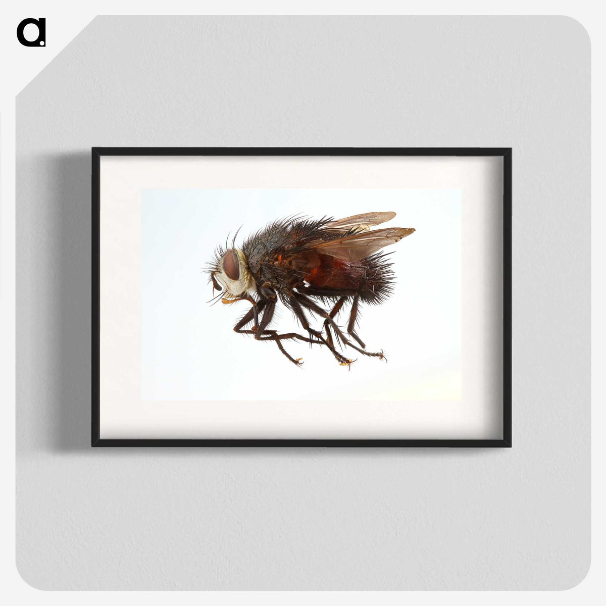 2-14_Insects-Unlocked-Project_blk
