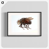 2-14_Insects-Unlocked-Project_blk