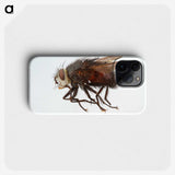 2-14_Insects-Unlocked-Project_phone