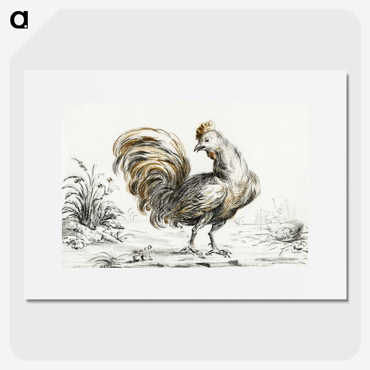 2-14_Jean-Bernard_picture