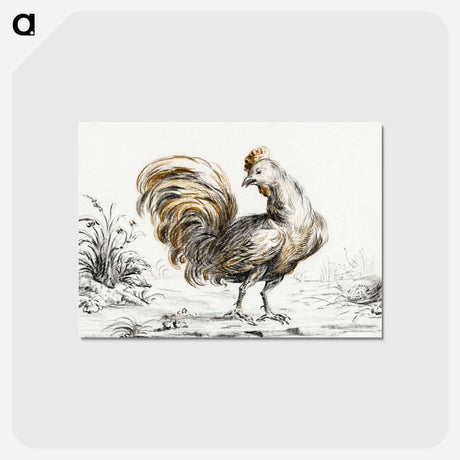 アートポストカード-Rooster - ジャン ベルナール Postcard.