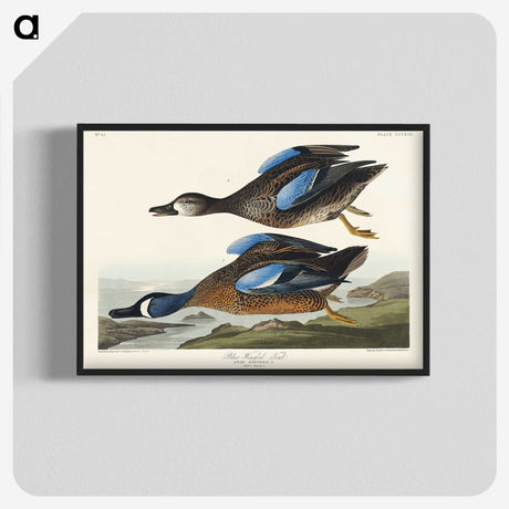 2-14_John-James-Audubon_blk-crop