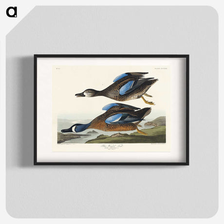 2-14_John-James-Audubon_blk