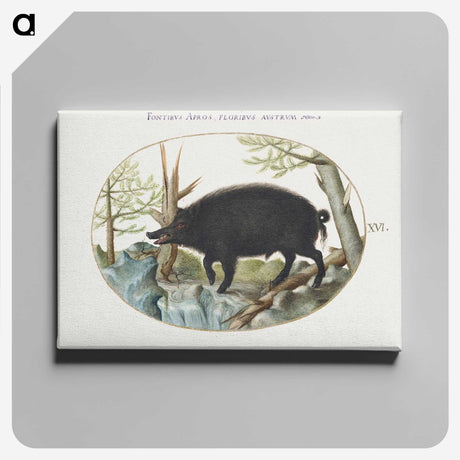 2-14_Joris-Hoefnagel_canvas