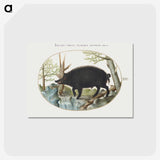 2-14_Joris-Hoefnagel_postcard