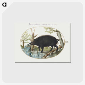 2-14_Joris-Hoefnagel_postcard