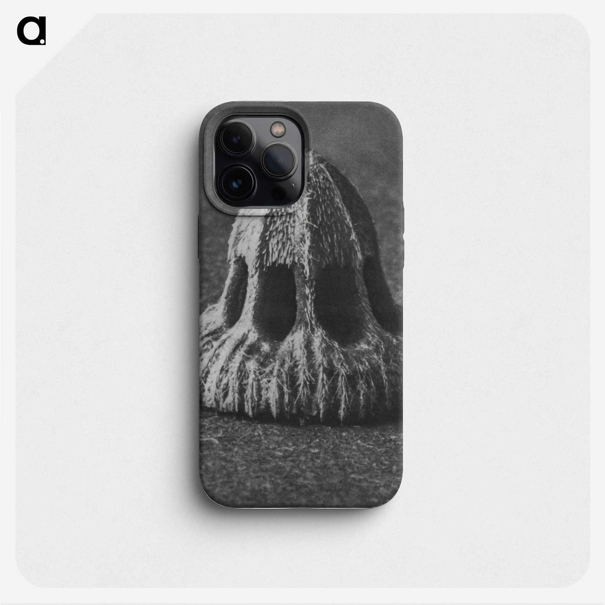 2-14_Karl-Blossfeldt_phone