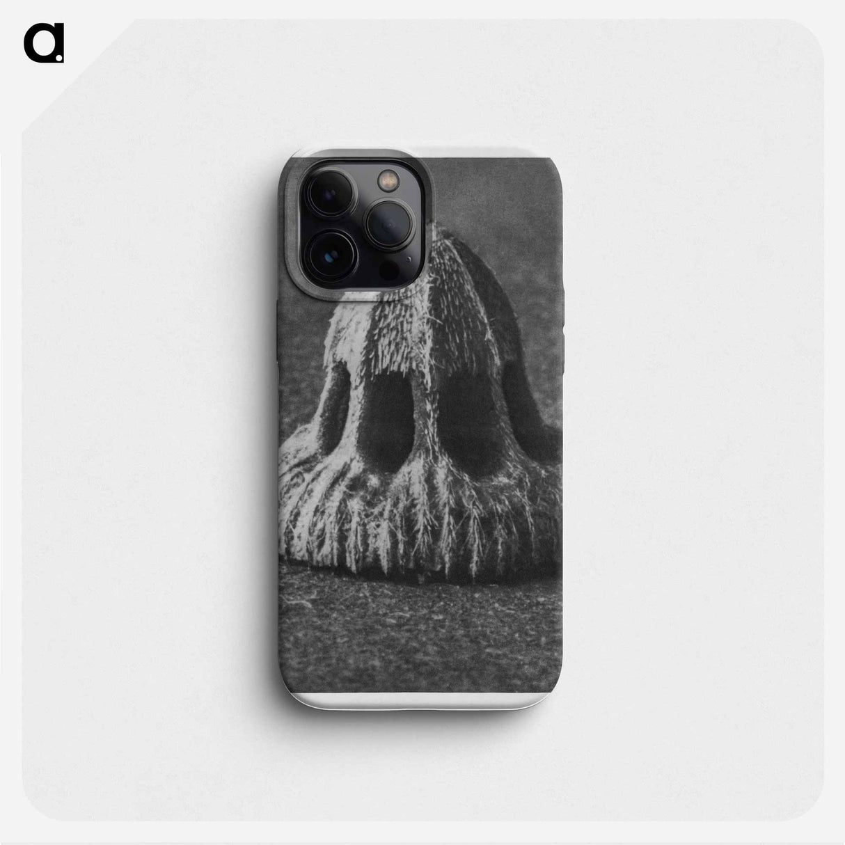 Callistemma Brachiatum - カール ブロスフェルト Phone Case.