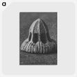 2-14_Karl-Blossfeldt_postcard