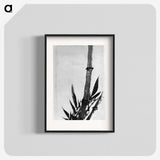 2-14_Katsushika-Hokusai_blk