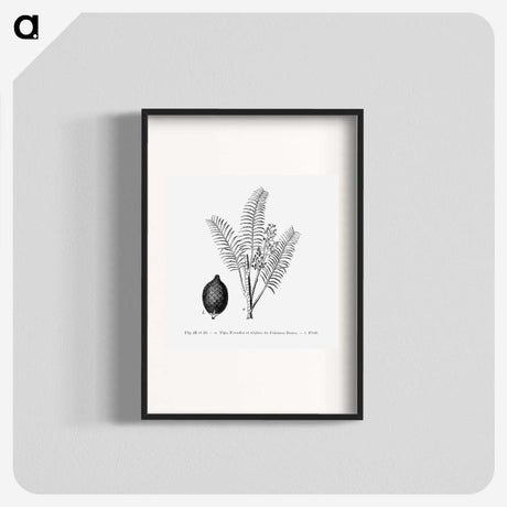 2-14_Les-Palmiers-Histoire-Iconographique_blk