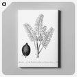 2-14_Les-Palmiers-Histoire-Iconographique_canvas