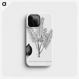 2-14_Les-Palmiers-Histoire-Iconographique_phone