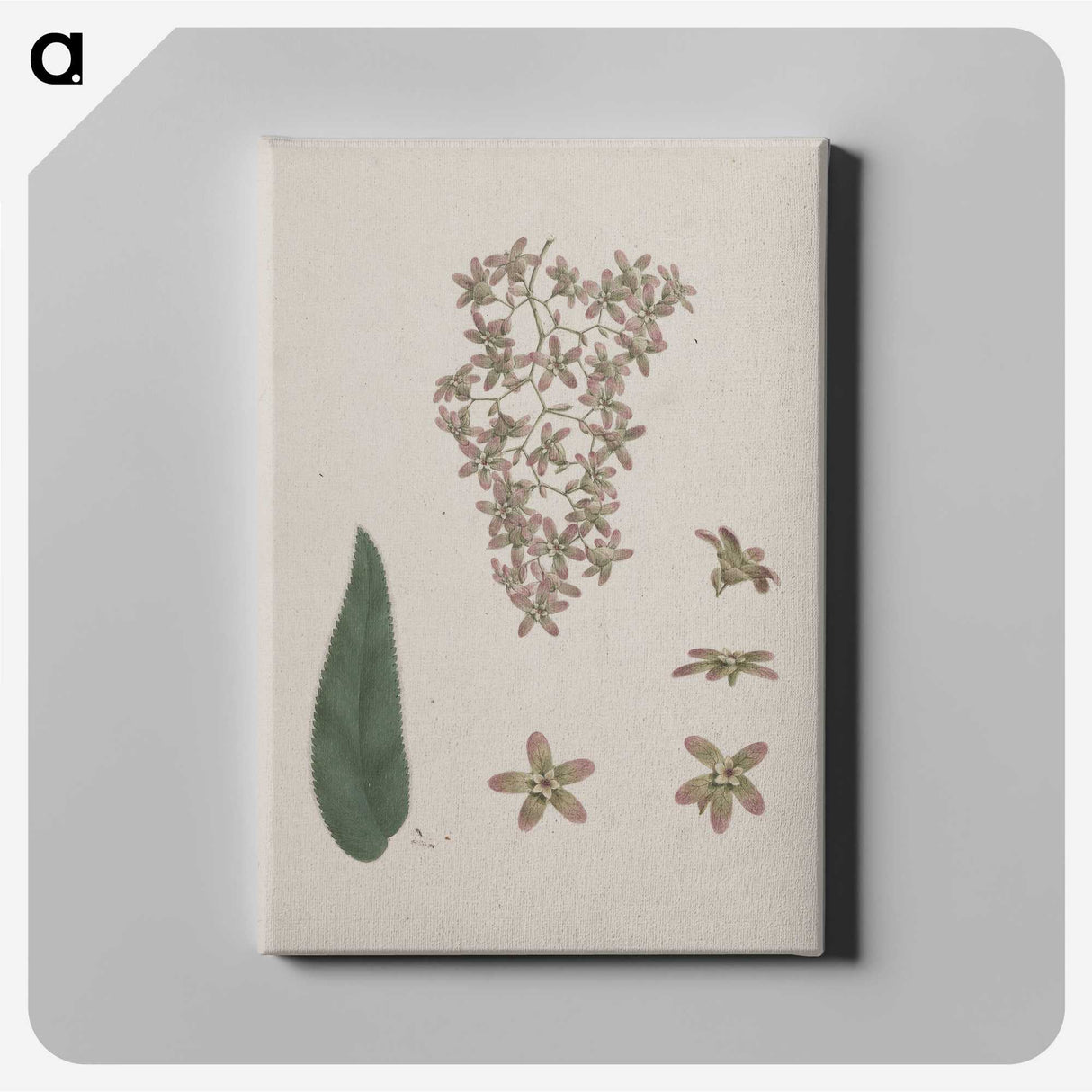 2-14_Luigi-Balugani_canvas