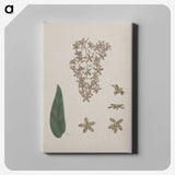 2-14_Luigi-Balugani_canvas