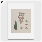 2-14_Luigi-Balugani_picture