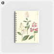 アートメモ帳-Hesperis Matronalis
 - マリア ジビーラ メーリアン Memo.