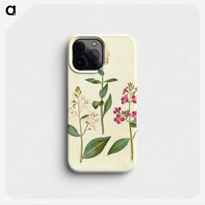 2-14_Maria-Sibylla-Merian_phone
